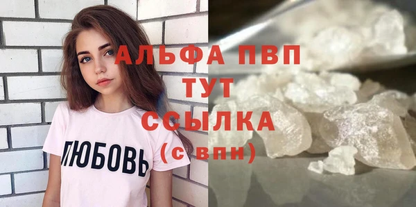 спиды Богданович