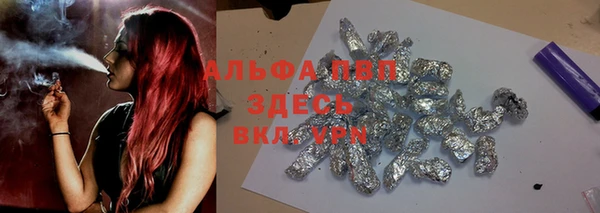 спиды Богданович