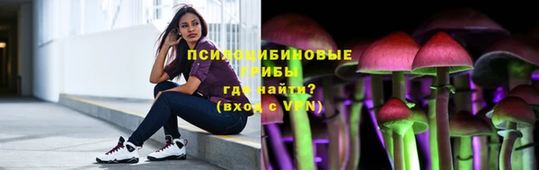 кокс Богородицк
