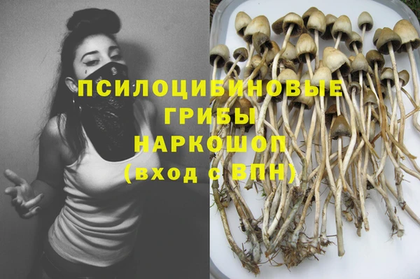 кокс Богородицк