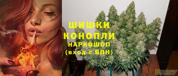 тгк Белокуриха