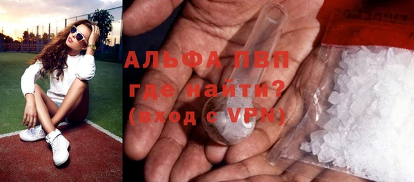 спиды Богданович
