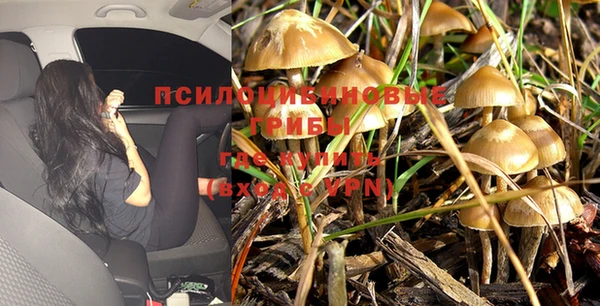 кокс Богородицк